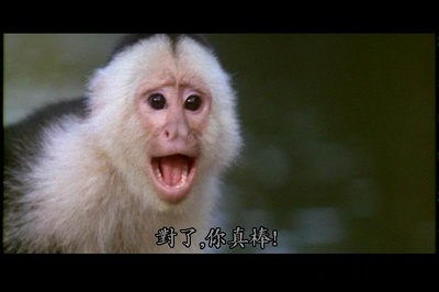 神探飞机头2剧照的剧照