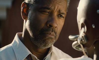 藩篱剧照的剧照