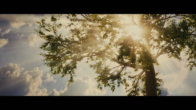 藩篱剧照的剧照