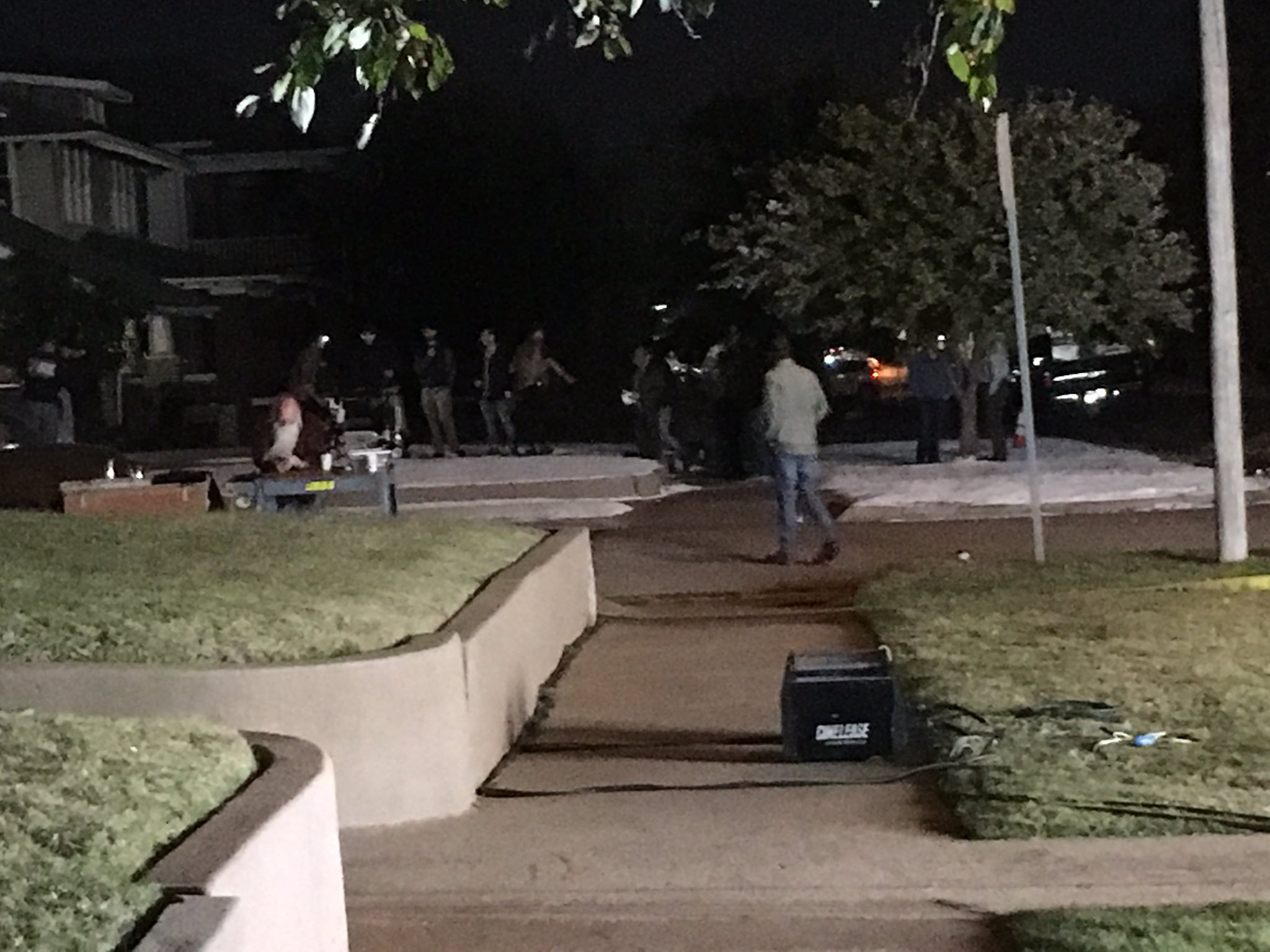 狂野生活剧照的剧照