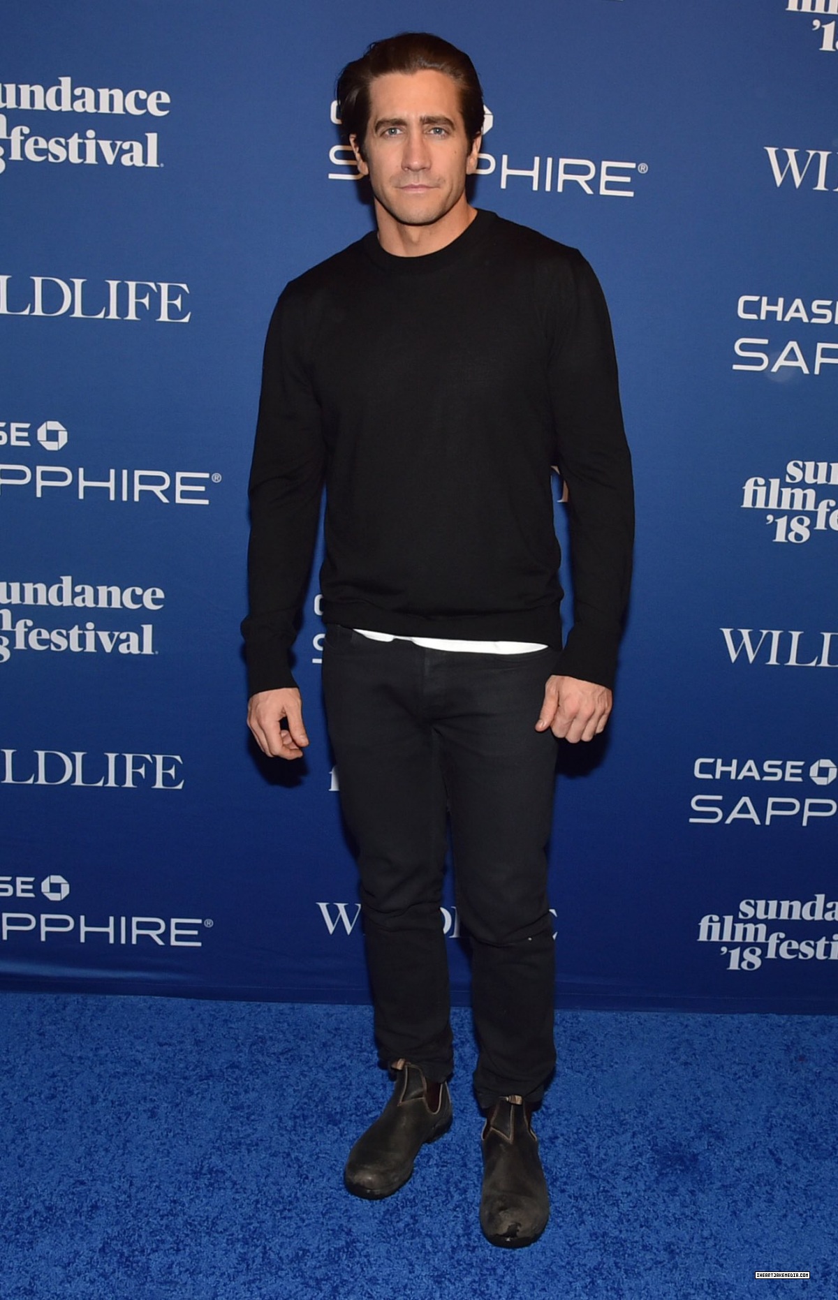 狂野生活剧照的剧照