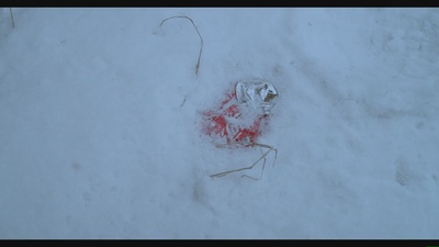 白日焰火剧照的剧照