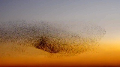 华氏451剧照的剧照