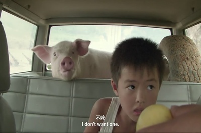 有人赞美聪慧，有人则不剧照的剧照