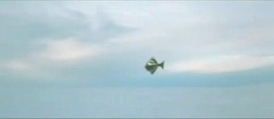 亚利桑那之梦剧照的剧照