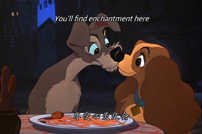 小姐与流浪汉剧照的剧照