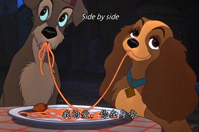 小姐与流浪汉剧照的剧照