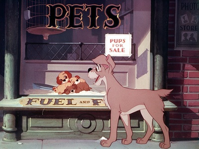 小姐与流浪汉剧照的剧照