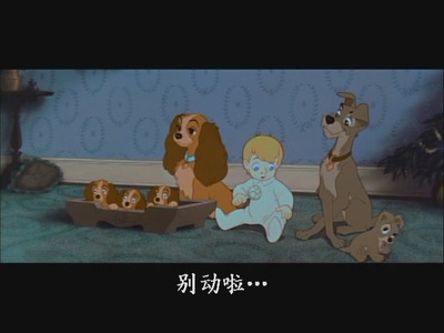 小姐与流浪汉剧照的剧照