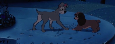 小姐与流浪汉剧照的剧照