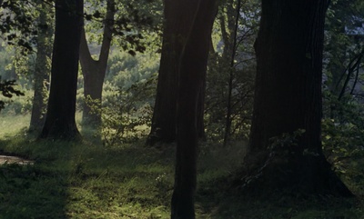 卡斯帕尔·豪泽尔之谜剧照的剧照