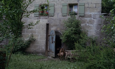 卡斯帕尔·豪泽尔之谜剧照的剧照