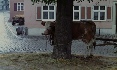 卡斯帕尔·豪泽尔之谜剧照的剧照