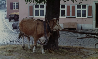 卡斯帕尔·豪泽尔之谜剧照的剧照