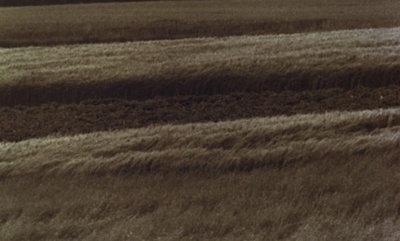 卡斯帕尔·豪泽尔之谜剧照的剧照