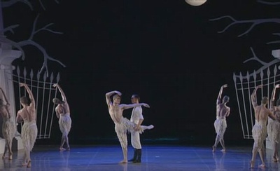 天鹅湖剧照的剧照