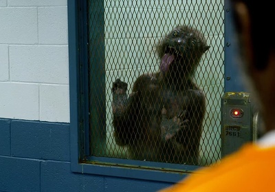 自杀小队2剧照的剧照