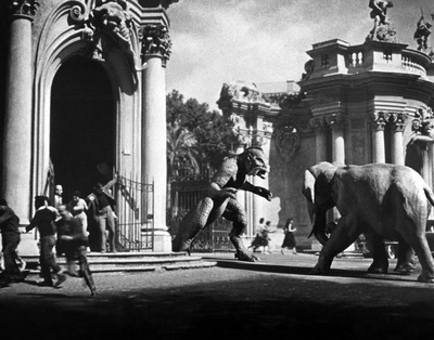 金星怪兽剧照的剧照