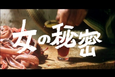 日本夜之物语剧照的剧照