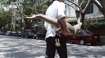 第36个故事剧照的剧照