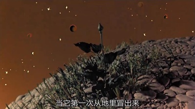 小王子剧照的剧照