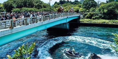 追捕剧照的剧照