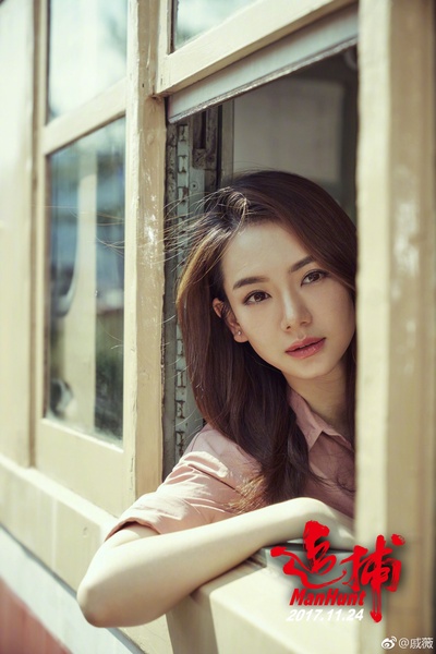 追捕剧照的剧照