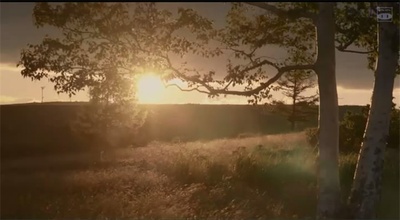 生日卡片剧照的剧照