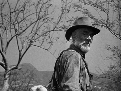 碧血金沙剧照的剧照