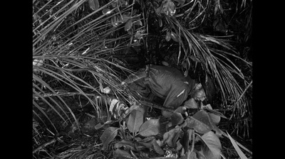 碧血金沙剧照的剧照