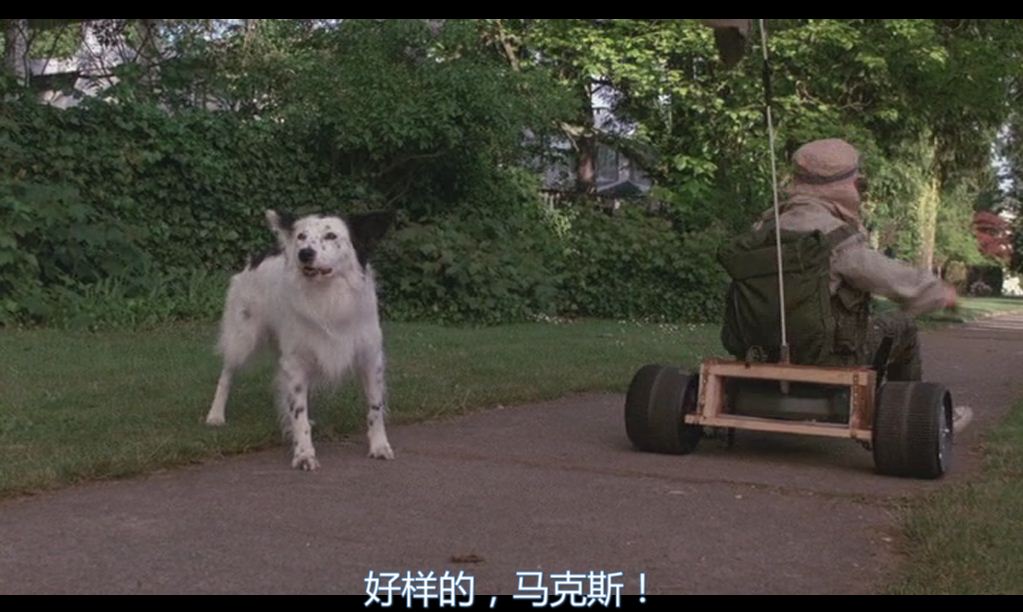 屋顶上的男孩剧照的剧照