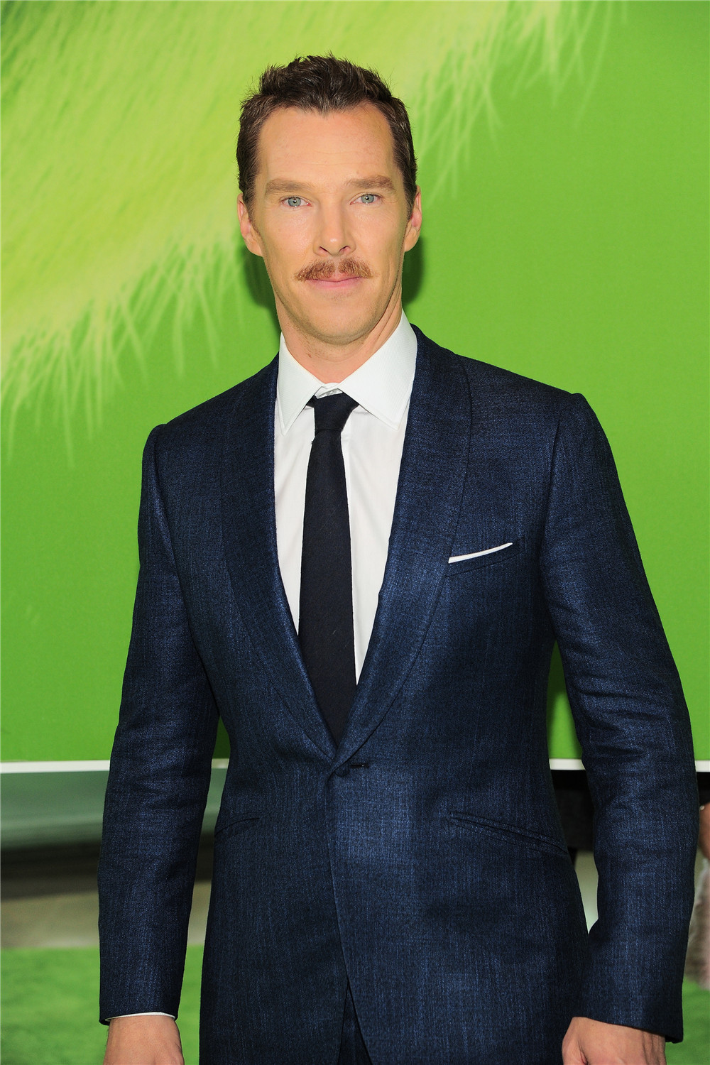 绿毛怪格林奇剧照的剧照