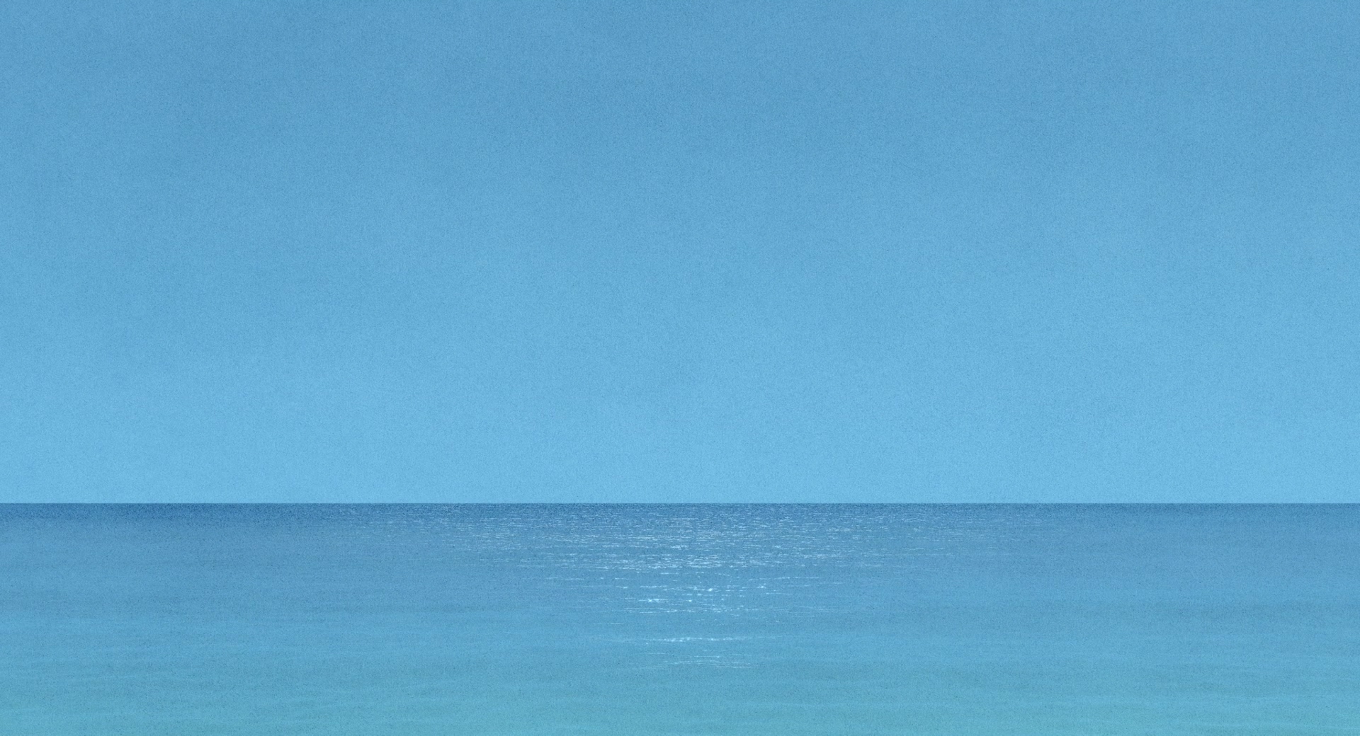 红海龟剧照的剧照