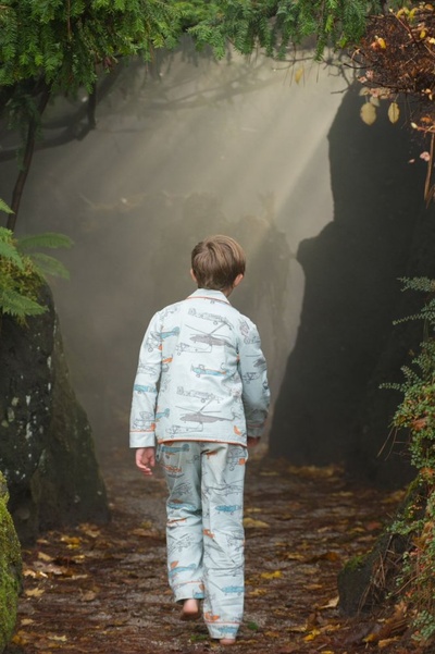 路易·德拉克斯的第九条命剧照的剧照