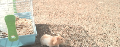 意外空间剧照的剧照