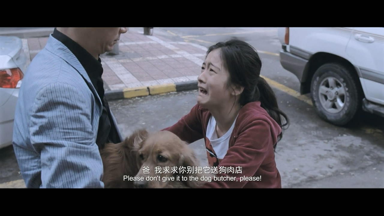 狗十三剧照的剧照