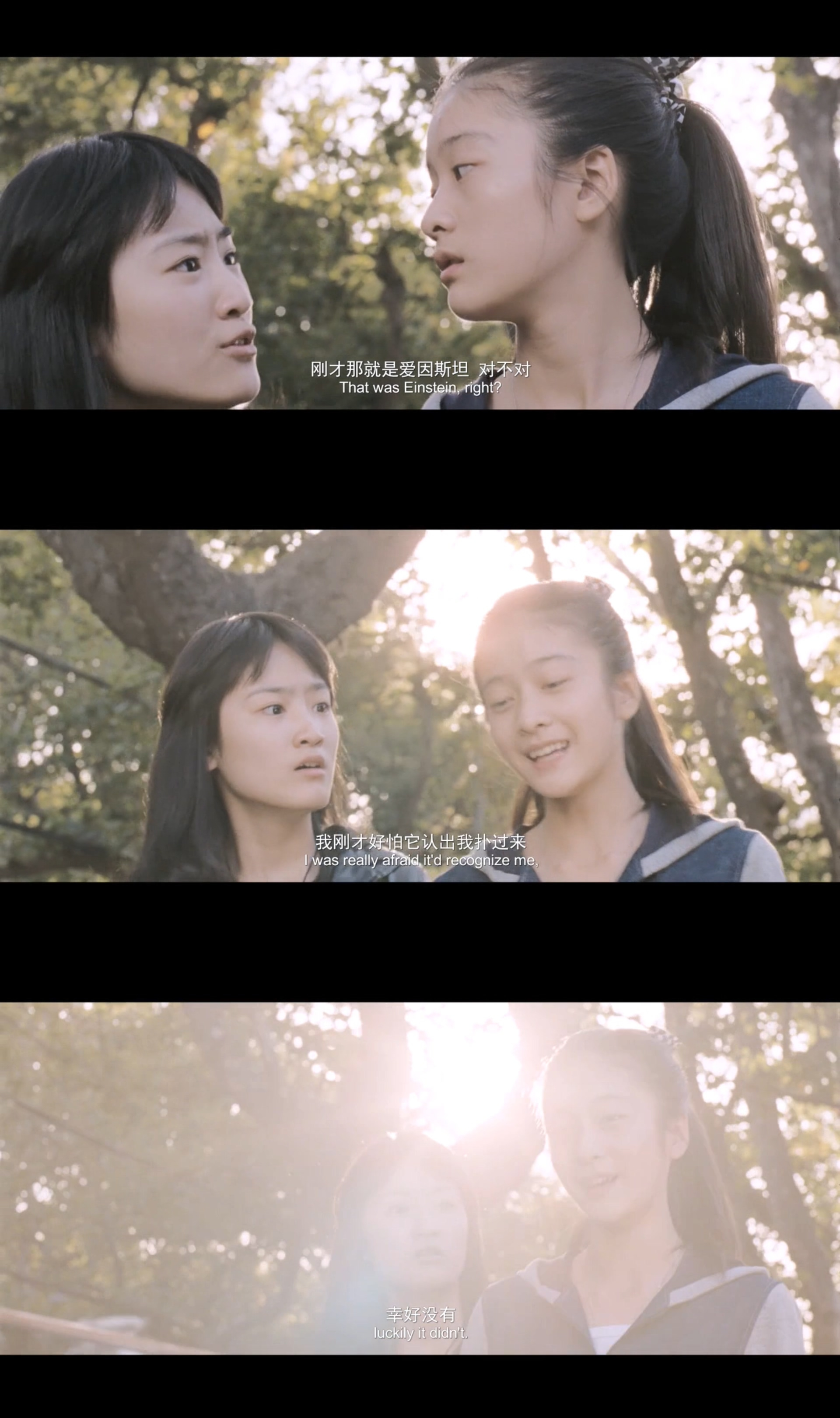 狗十三剧照的剧照