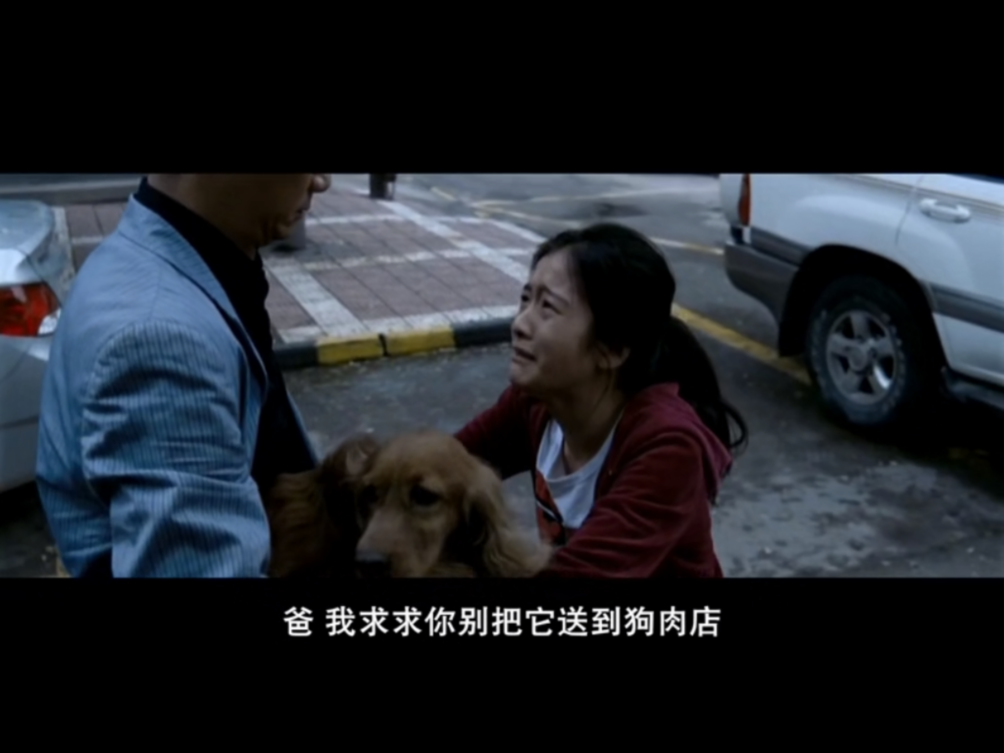 狗十三剧照的剧照