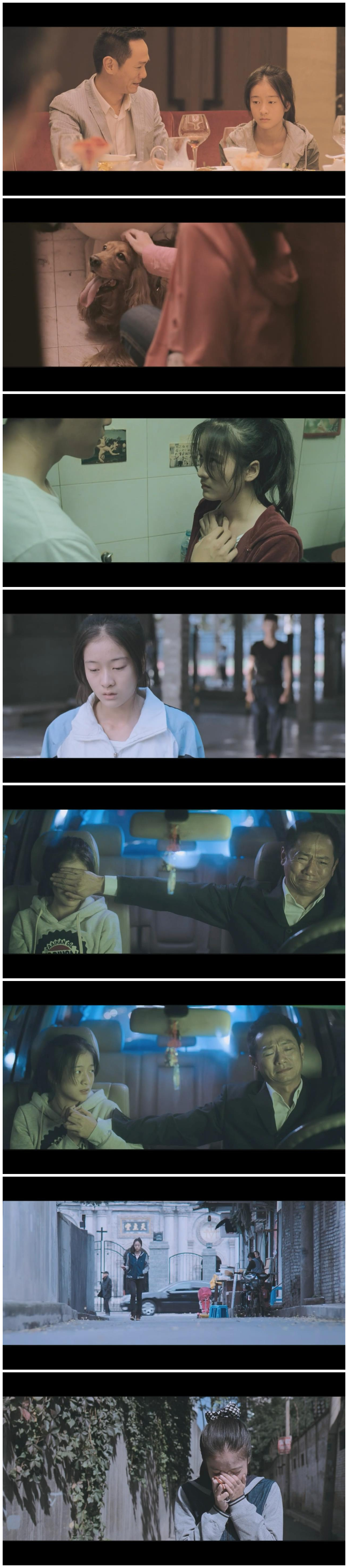 狗十三剧照的剧照