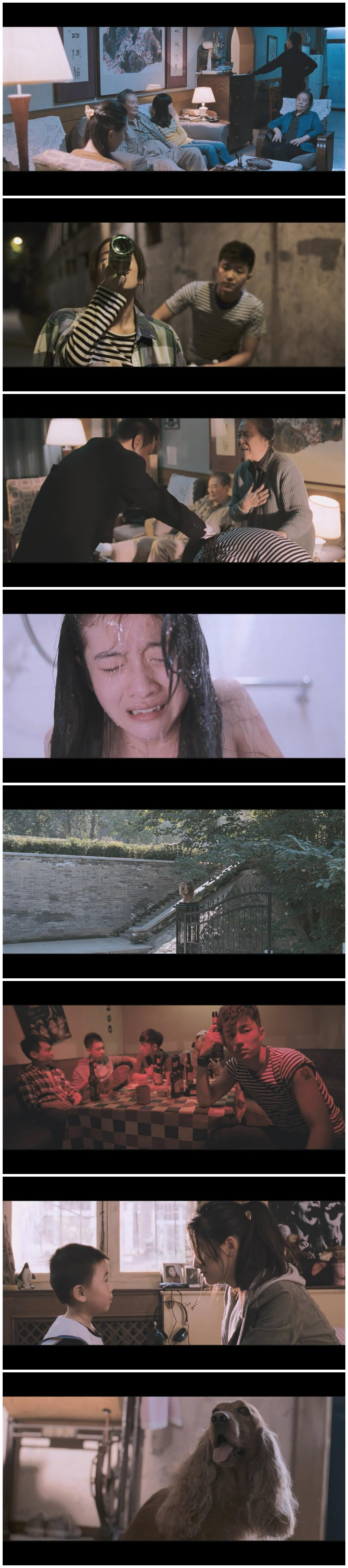 狗十三剧照的剧照