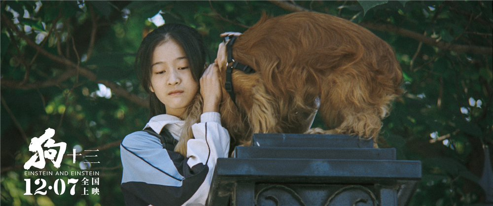 狗十三剧照的剧照