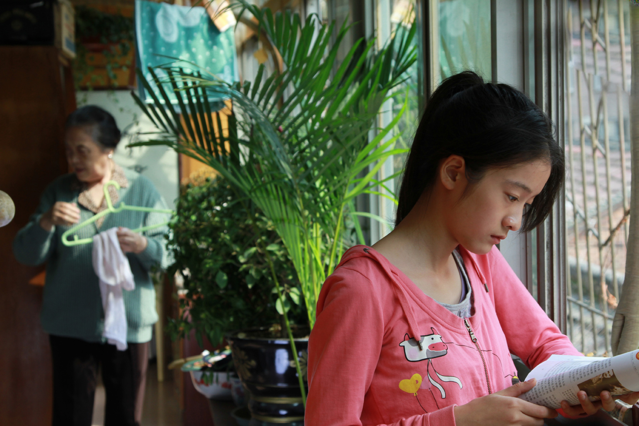 狗十三剧照的剧照