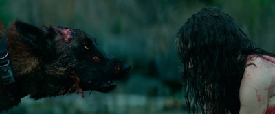 新尸骨无存剧照的剧照