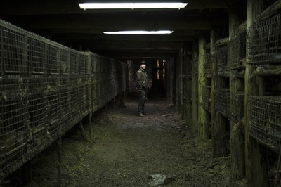 糜骨之壤剧照的剧照