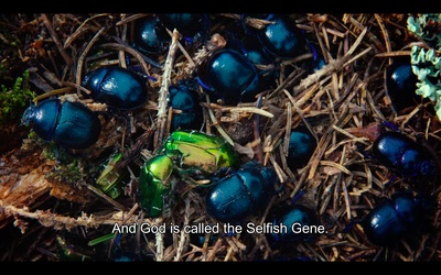 糜骨之壤剧照的剧照