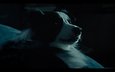 糜骨之壤剧照的剧照