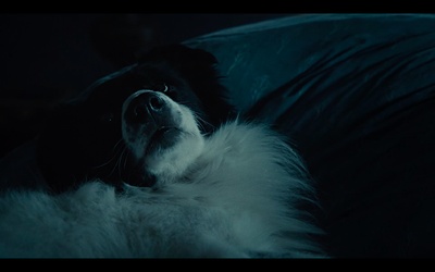 糜骨之壤剧照的剧照