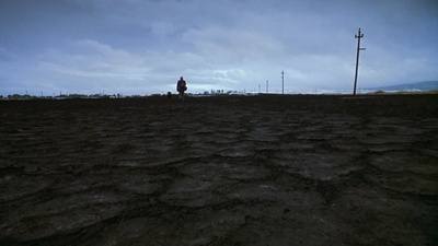 爱情是狗娘剧照的剧照