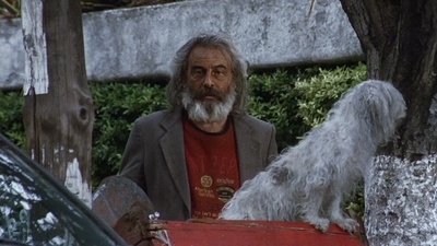 爱情是狗娘剧照的剧照