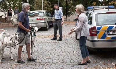 悍妻理论剧照的剧照